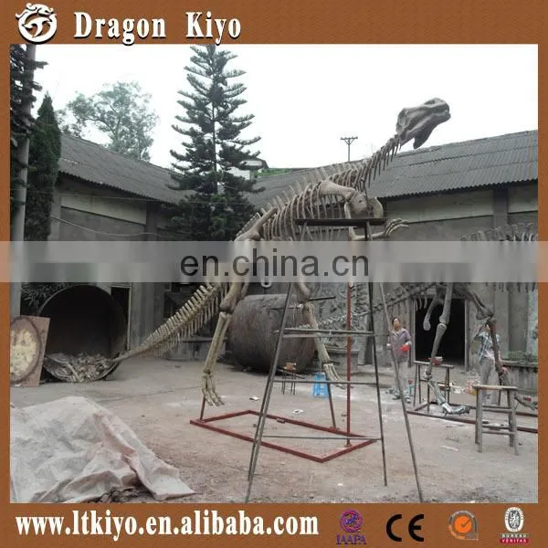 2016 jurassic park dinosaur fossil for museum dinosaur skeleton