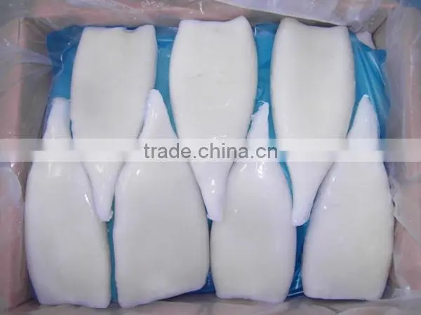 Hot sale Frozen squid tubes U7