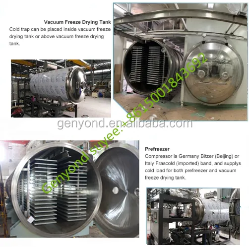 Food Vacuum Dehydrator/Industrial Dehydrater/Vegetable Dehydrater