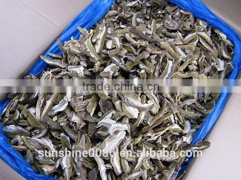 Dried boletus mushroom