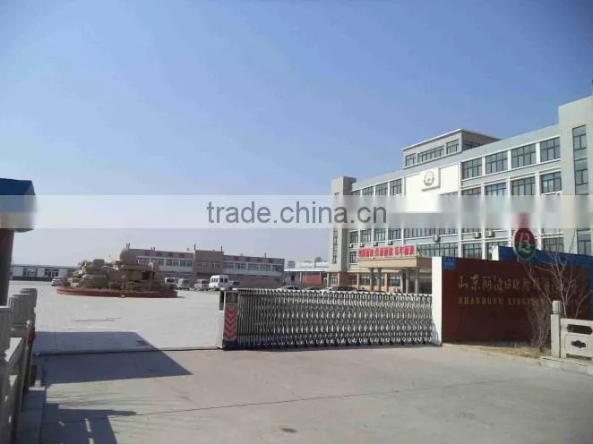 Shandong Liborihua Co., Ltd. company overview - view 2