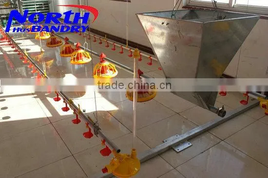 Clean Plastic Poultry Slat Floor For Chicken
