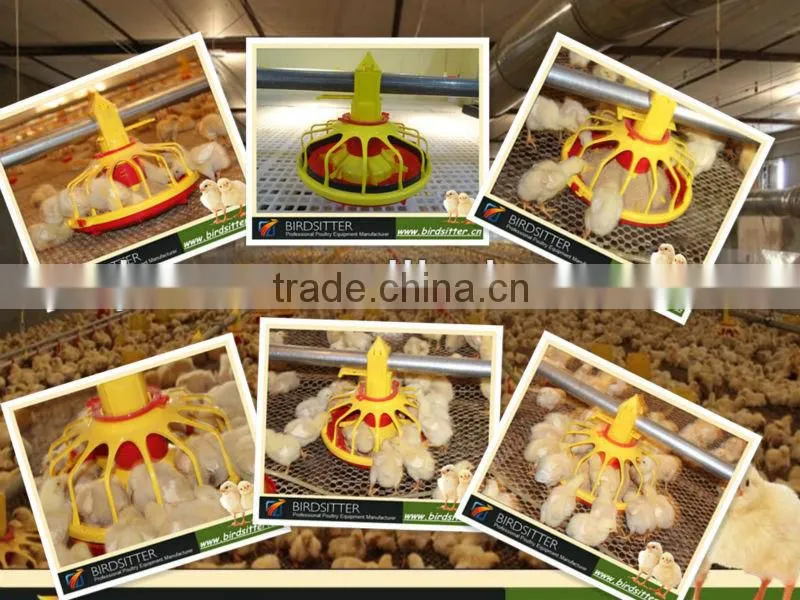 Automatic mechanized chicken feeding