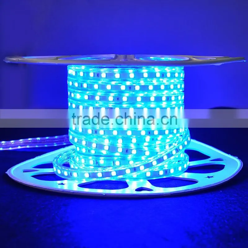 festalight 2016 christmas decoration chinese manufacturer new products high voltage SMD5050 SMD3528 led strip light