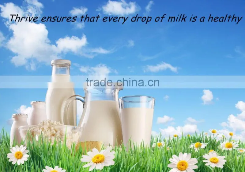 Milk pasteurizer machine price for sale,Pasteurized Milk Production line