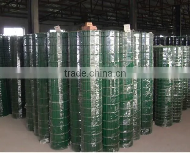 Euro Fence/ PVC coated holland wire mesh
