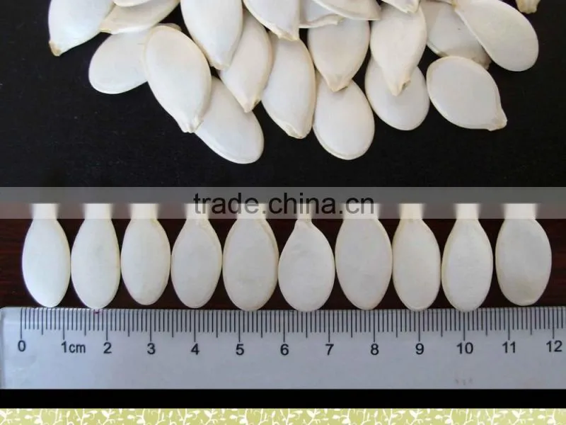 New Crop High Quality Snow White Pumpkin Seeds, Certified!
