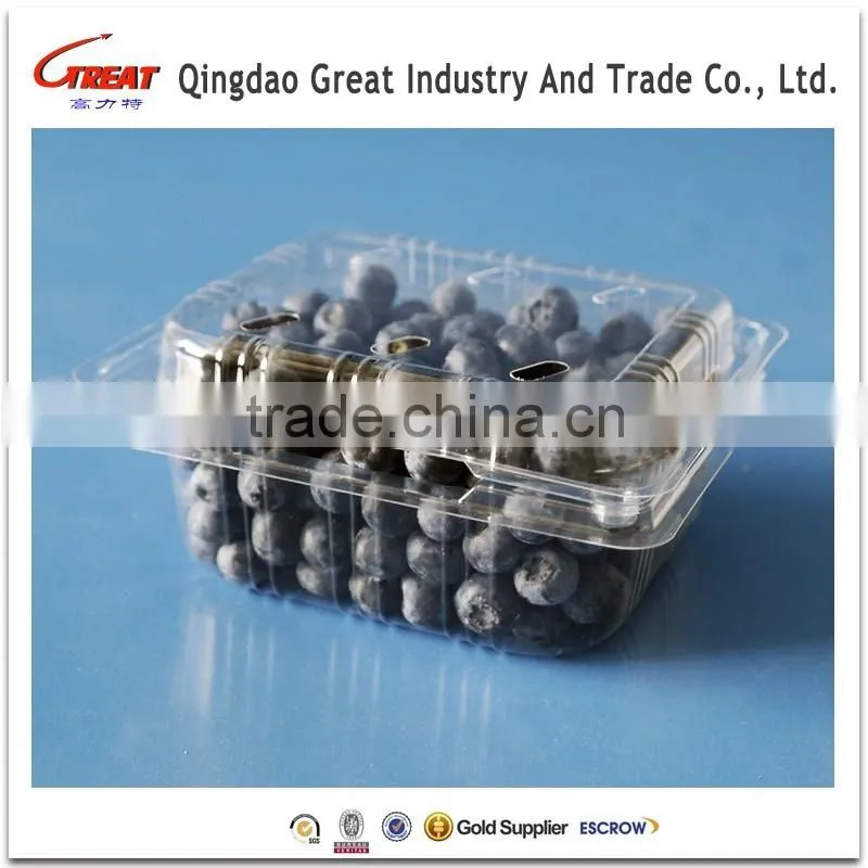 Strawberry Transparent Box Fruit Use Packaging Tray