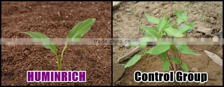 Huminrich Shenyang Organic 70% Leonardite Humic Acid Controlled Slow Release Prill Fertilizer For Saline Soil