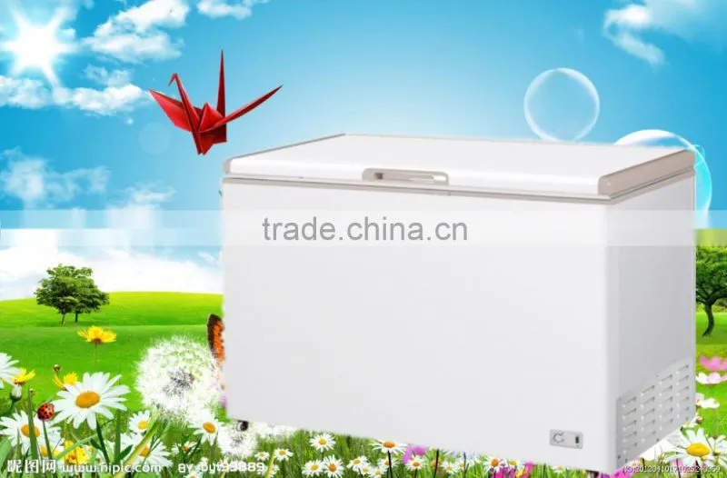 100-1700L Best Seller Chest Freezer