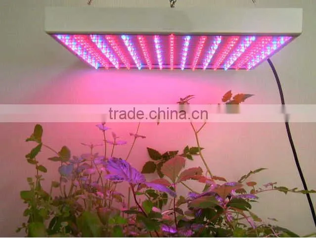 0.5w 450nm 2835 Blue smd led diode for grow light