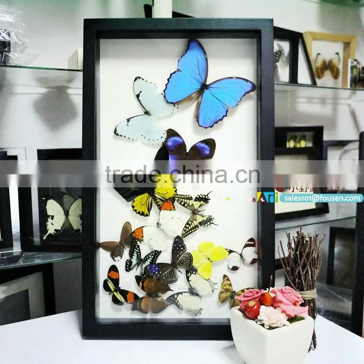 FOUSEN(042) Nature& Art preserved naturals decorations home garden