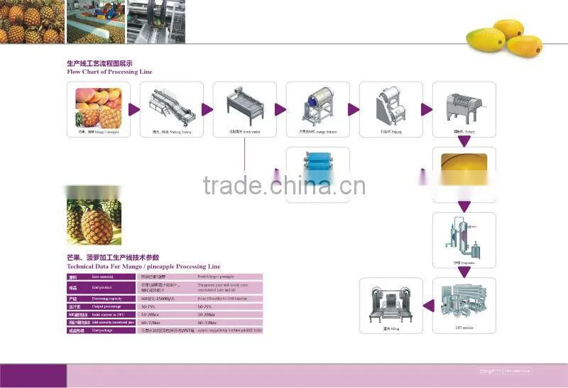 Complete Mango Fruit Processing Line