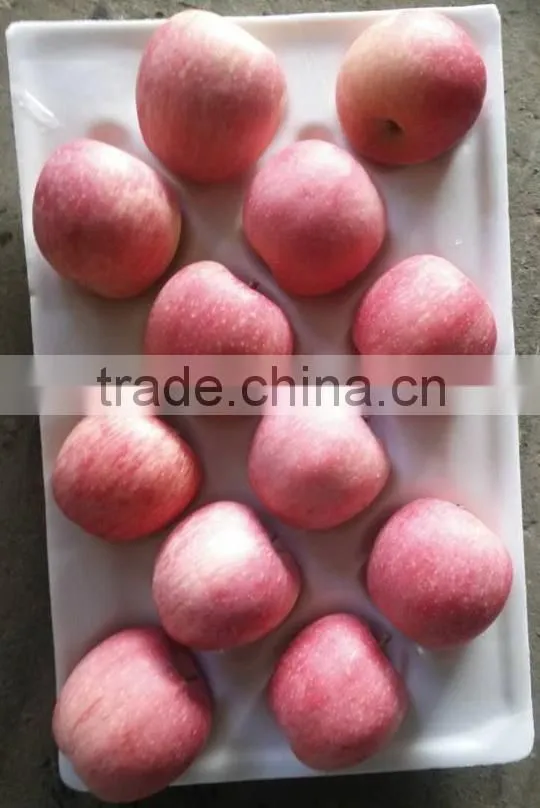 175# Fresh fuji apple