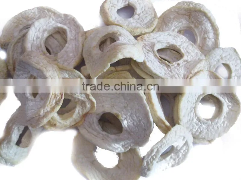 exotic dried fruits apple rings