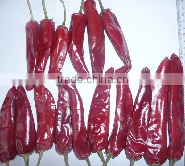 Chinese Dried Whole Jinta Chili in Low Hot Degree