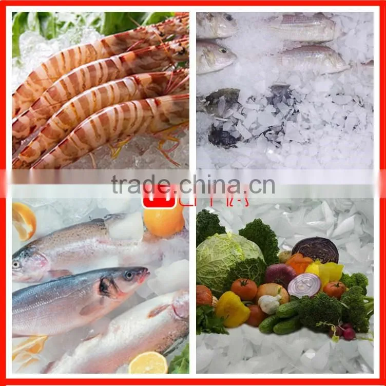 Top quality home use ice flake making machine
