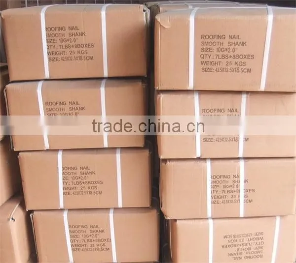Quality Galvanized umbrella Head Roofing Nails