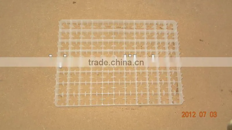 hatching eggs plastic egg tray