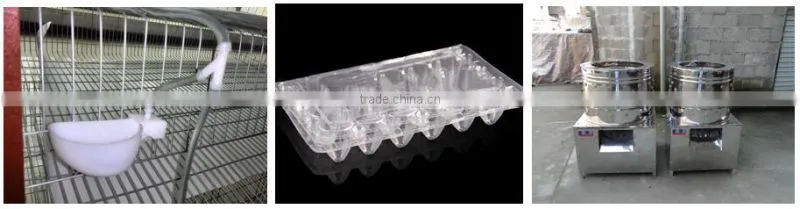 Layer Quail Cages For Sale From Direct Factory