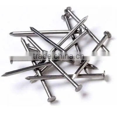 High quality coil nails