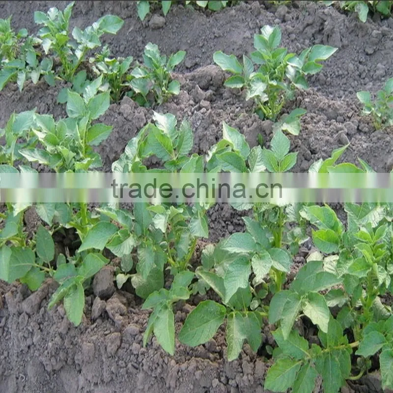 Farm machinery manual potato planter for sale