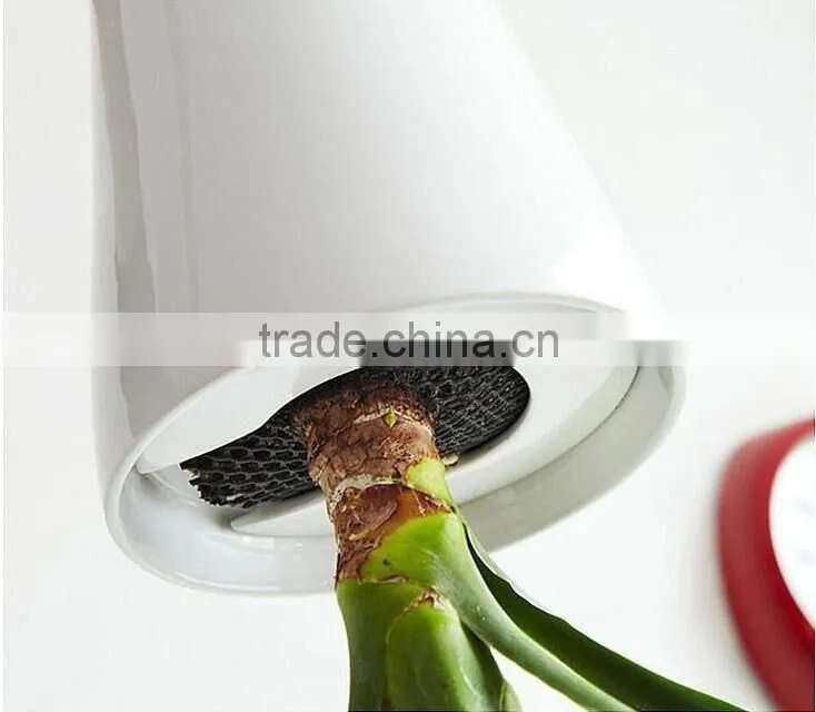 Plastic Sky Planter Creative Decorative Home Mini Sky Garden Flower Pot Beauty Sky Planter