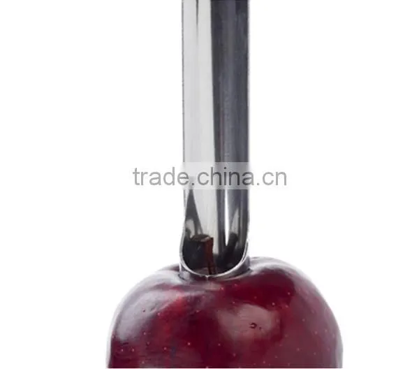 DG-0111 Stainless Steel Apple Corer