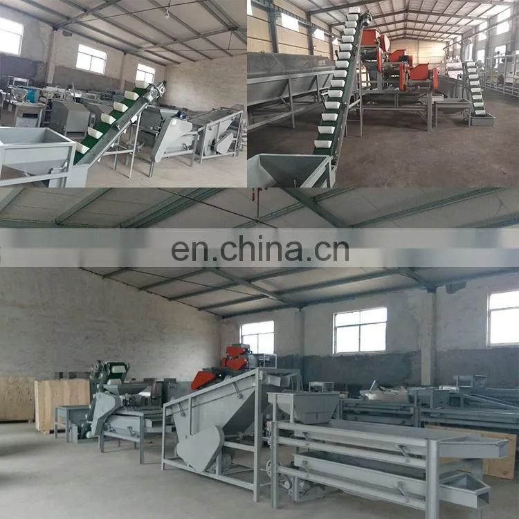 Taizy Automatic Peanut Cashew Nut Chopping Slicing Crusher Crushing Dicing Machine
