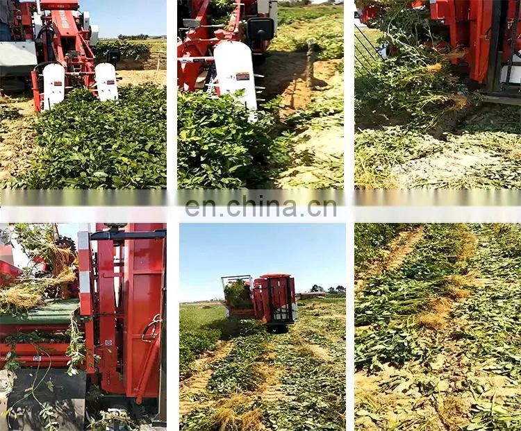 Made in China Factory Price of Peanut Combine Harvester