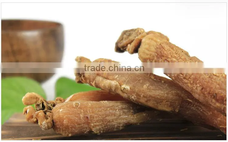 Red ginseng without tails