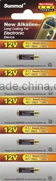 CR2450-B5P lithium coin button cells
