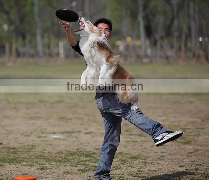 2015 Wholesale frisbee, high quality silicone frisbee, dog toy