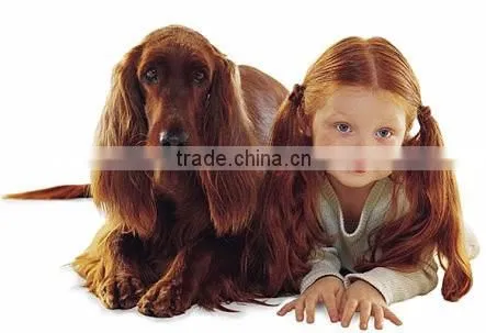 China suppliers dog soft carrier portable
