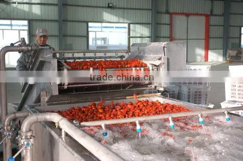 date jujube processing Machine, date washer. jujube washing machine. date dryer ,