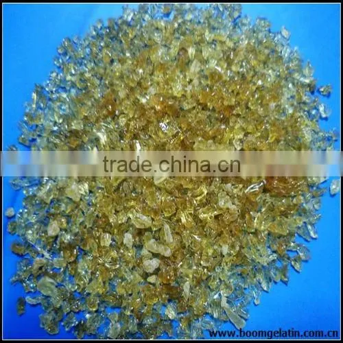 pharmaceutical grade gelatine