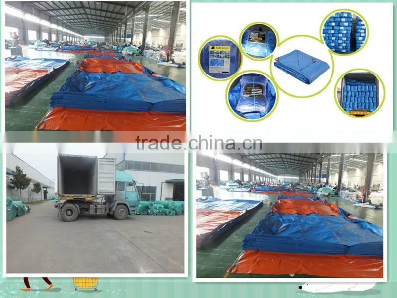 anti aging machine tarpaulin PP plastic sheet triangle plastic rope grommets waterproof anti-aging antioxidant factory hot sell