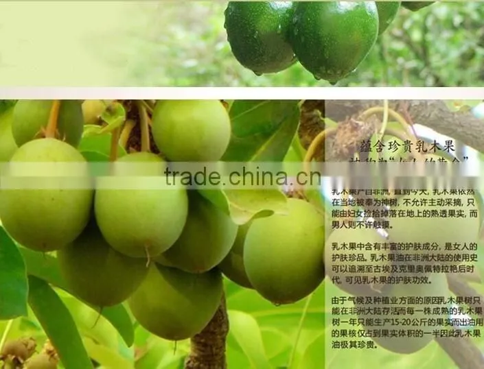 Mendior Pure Shea Butter 5% Glutathione Whitening Nourishing Whitening Body lotion cream OEM custom brand