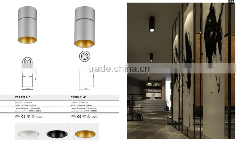 Fashion Mordern adjustable led rotating spotlight