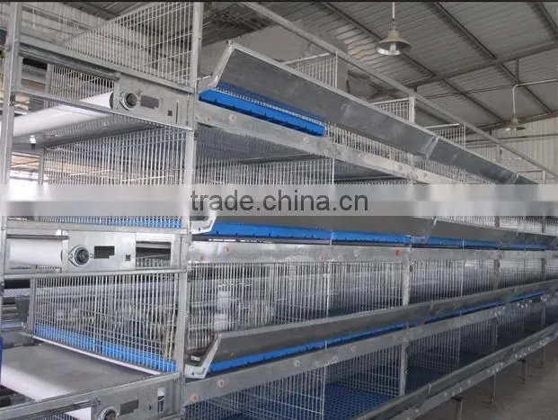 Durable economic steel wire mesh chicken cage