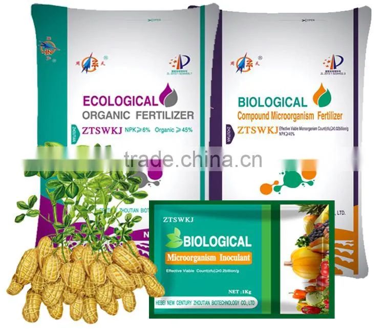 organic big peanut seed for increase corp yield