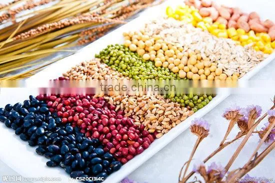 high protein wheat flour production line / high protein wheat flour mill stone