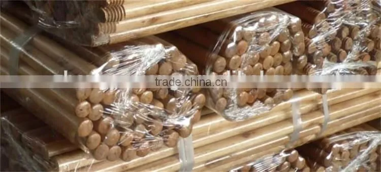 Natural wooden lacquered and threaded mop handle