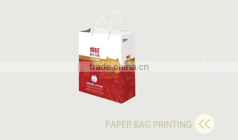 fancy rope handle recycle paper bag printing