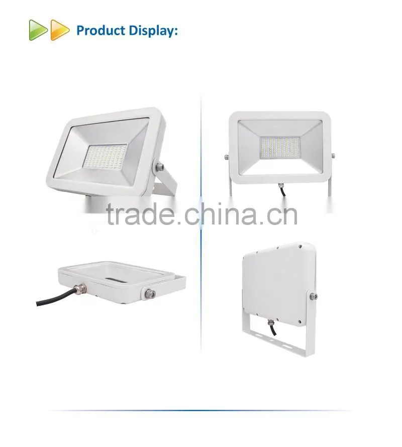 Outdoor Waterproof IPAD 50W LED Flood Light