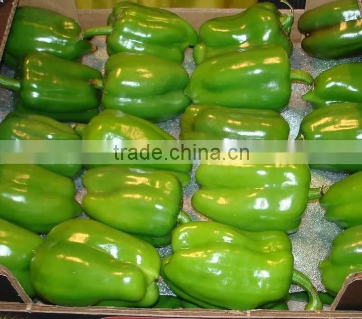 Capsicum