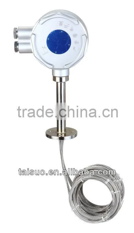 Temperature Sensor with head