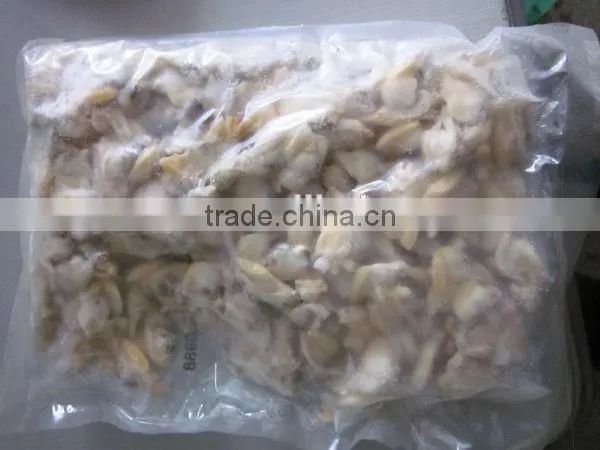 frozen shell clam meat