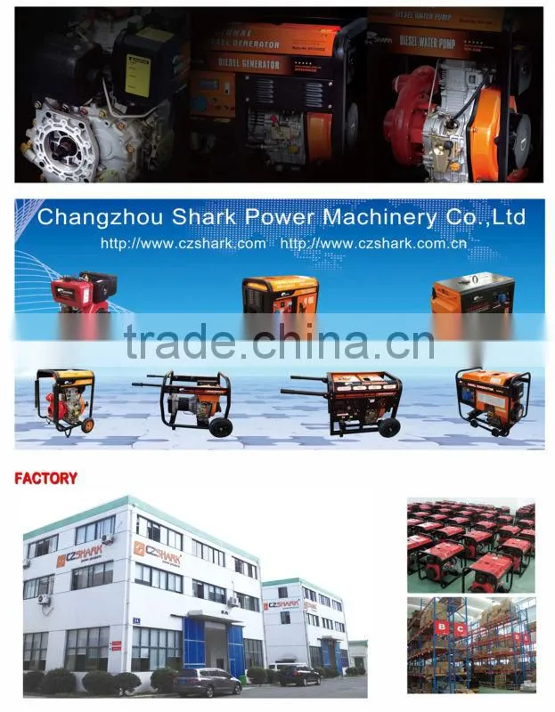 5KW Silent Diesel Generator Set (To North Amercia)