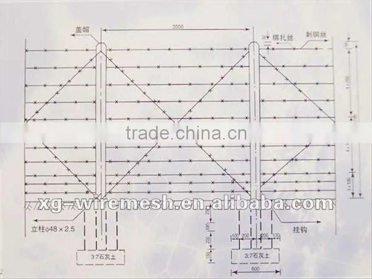 bared razor wire(high quality low price)